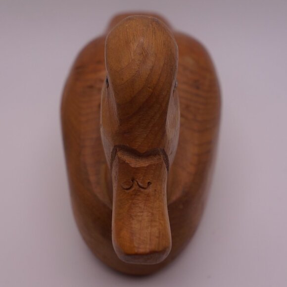 Wood Duck - Picture 6 of 16